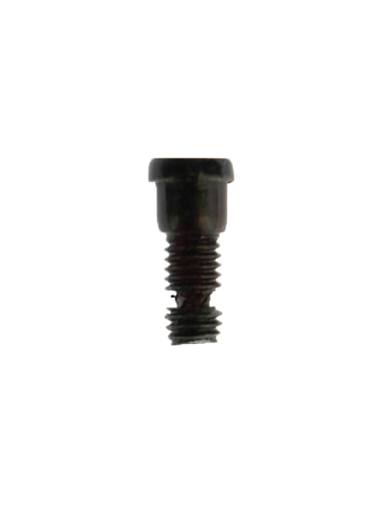 W10565483 - Genuine OEM Whirlpool Microwave Hinge Screw
